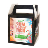 Pachet SLĂBIRE 2, Summer Body Reset – Transformare 360°