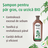 Shampoo for oily hair, with bio nettle