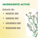 Shampoo for volume, with bio chamomile
