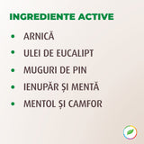 Lotion for massage, with organic plants
