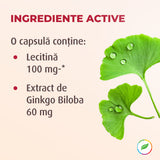Ginkgo Biloba avec lécithine
