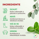 Power ROLL de Bear Power aux herbes biologiques
