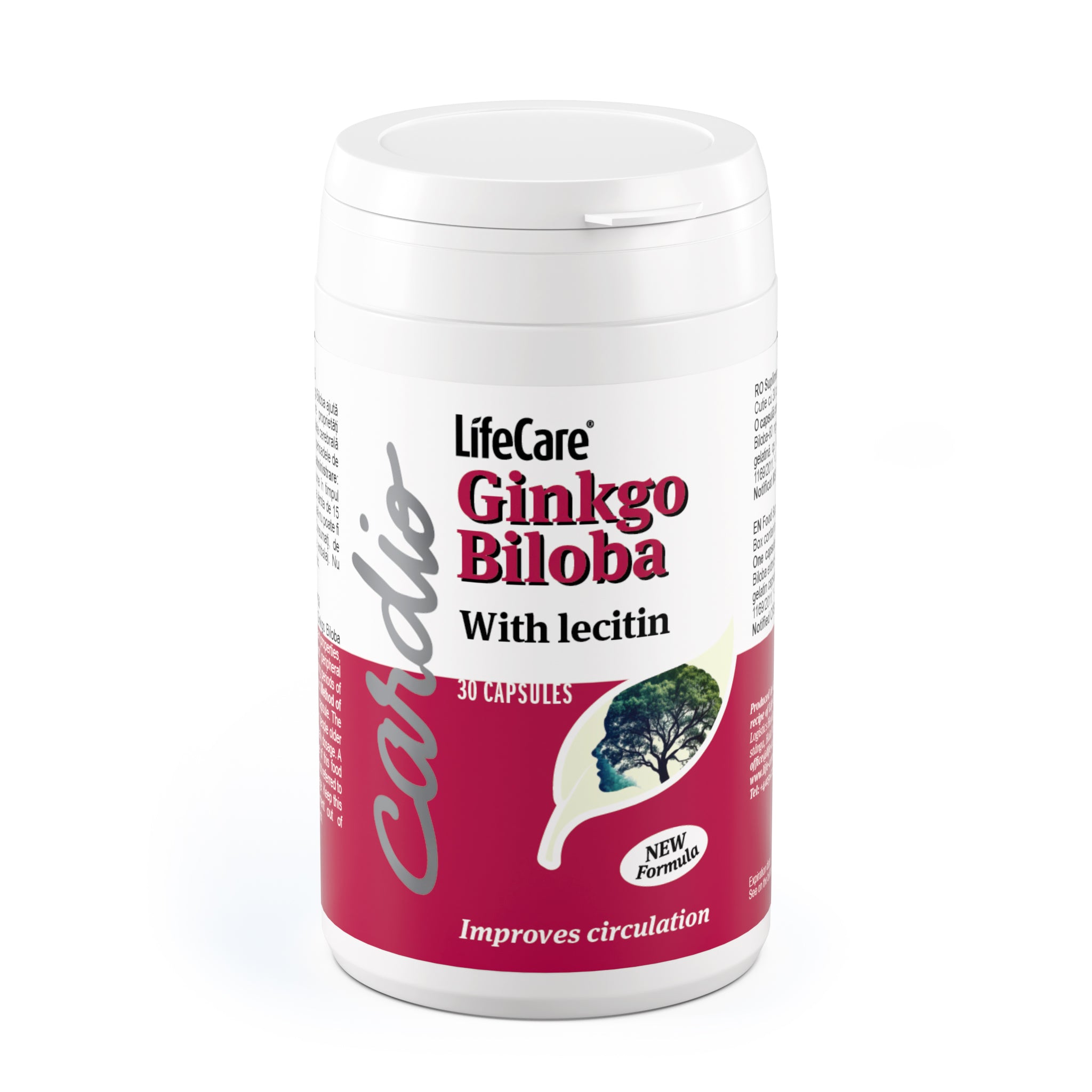 Ginkgo Biloba avec lécithine