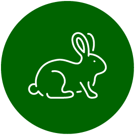 Without animal tests
