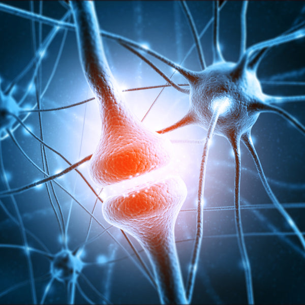 Îmbunătățește funcția cognitivă și memoria