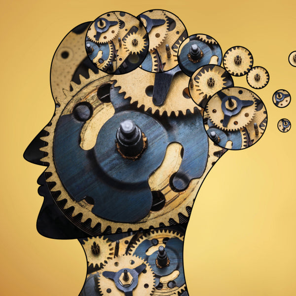 Improves memory and concentration