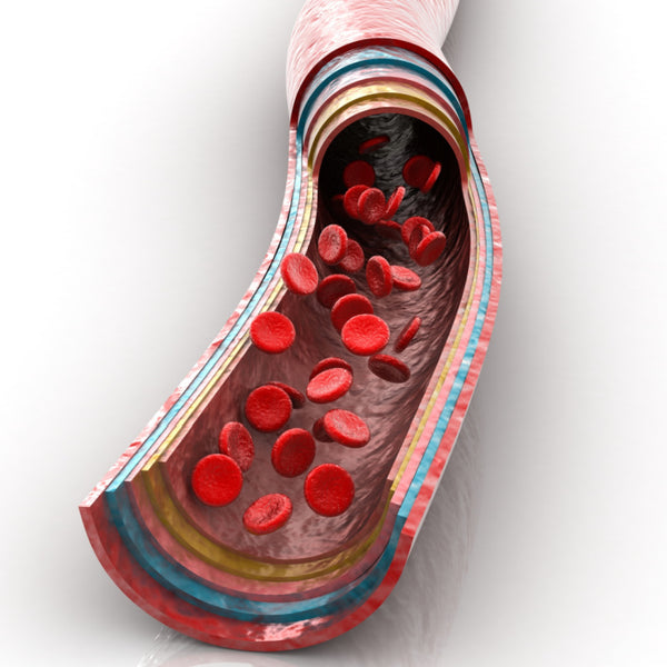 Îmbunătățirea circulației sanguine și sănătății cardiovasculare