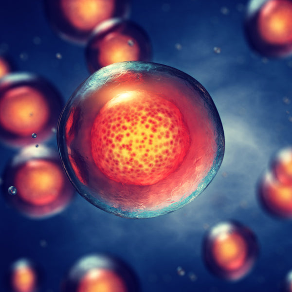 Maintaining cell health