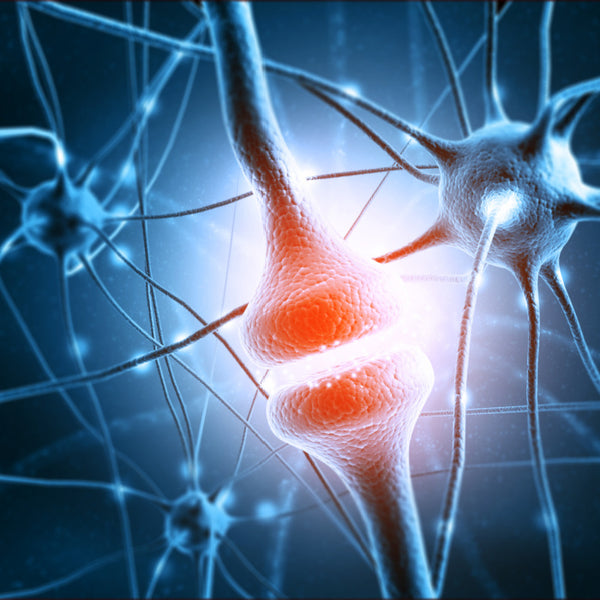 Reducerea simptomelor de declin cognitiv