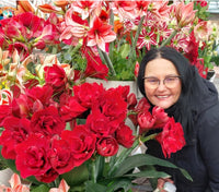 Dorina Rosu affiliate profile picture