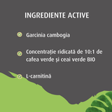 SlimMe à l'extrait de thé vert biologique pour la minceur