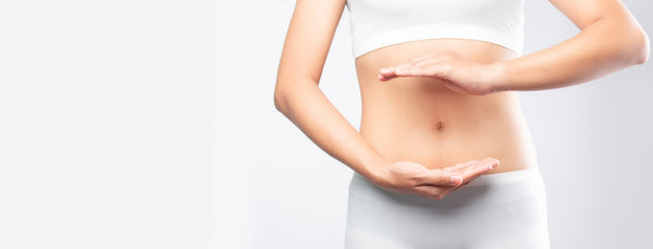 Suport pentru intestine