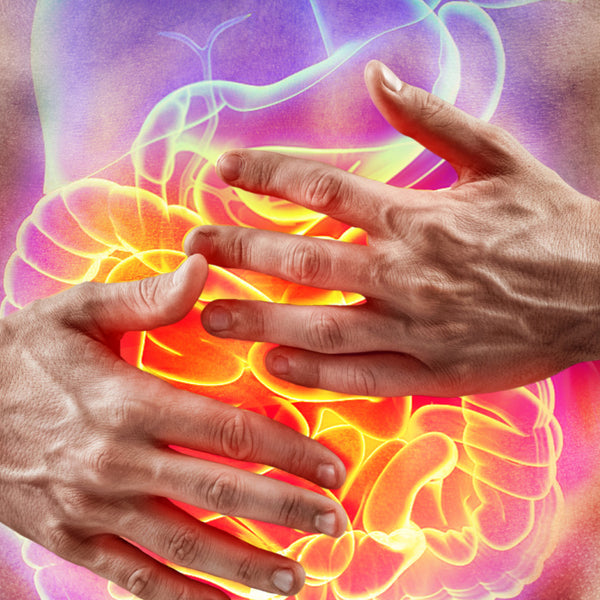 Suport pentru sănătatea pancreatică și hepatică