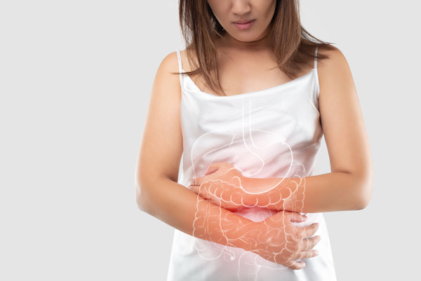 Supports the digestive system
