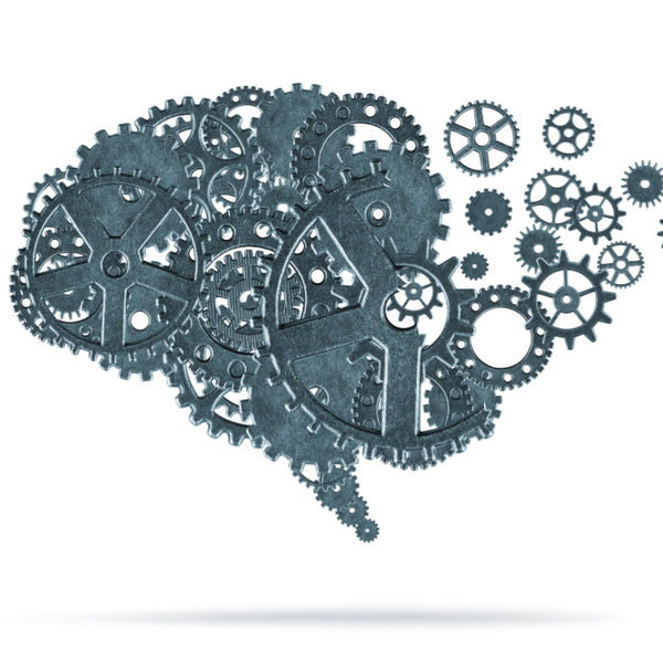 Susține funcțiile cognitive