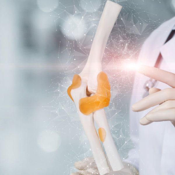 The healthy development of bones and teeth