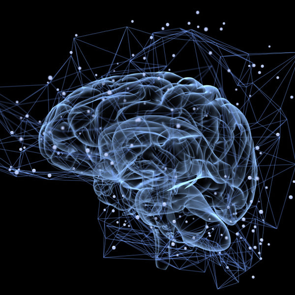 Susținerea proceselor neuronale