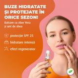 Balsam de buze cu aloe vera și unt de shea, SPF 25, EQUILIBRIUM