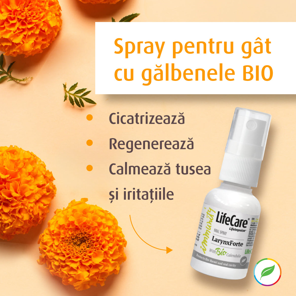 Spray for the neck, LarynxForte, with bio yellows