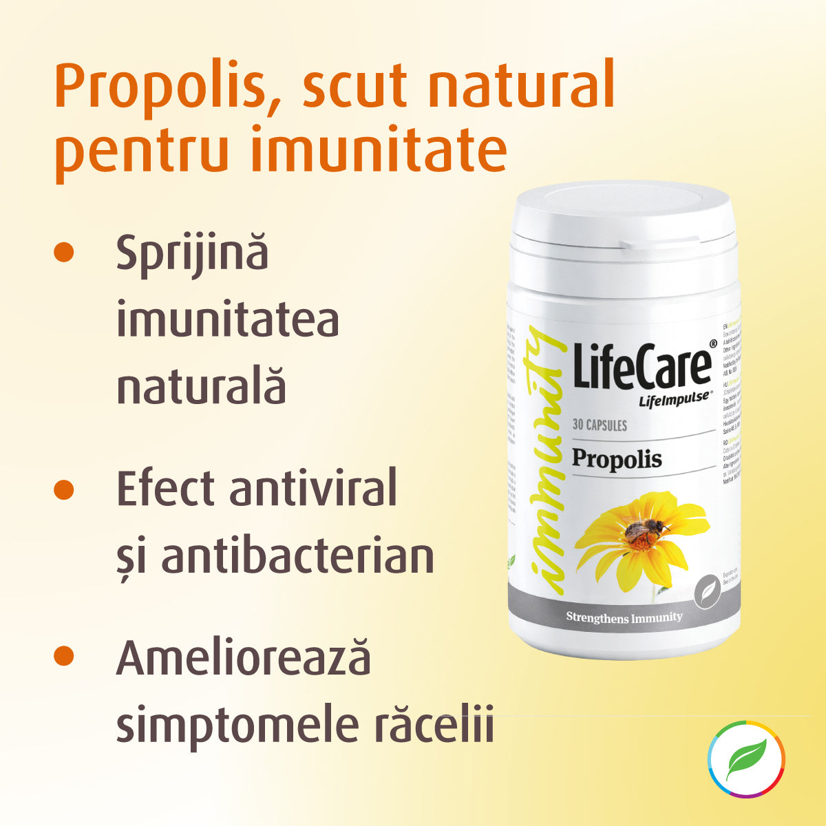 Propolis, bouclier immunitaire naturel