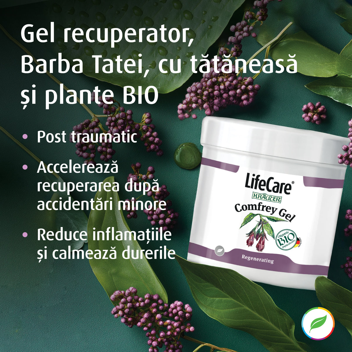 Gel de récupération, Daddy's Beard, à base d'herbes biologiques et de prêle.
