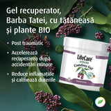 Gel de récupération, Daddy's Beard, à base d'herbes biologiques et de prêle.