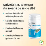 ActiveSalicin, cu extract din scoarță de salcie albă