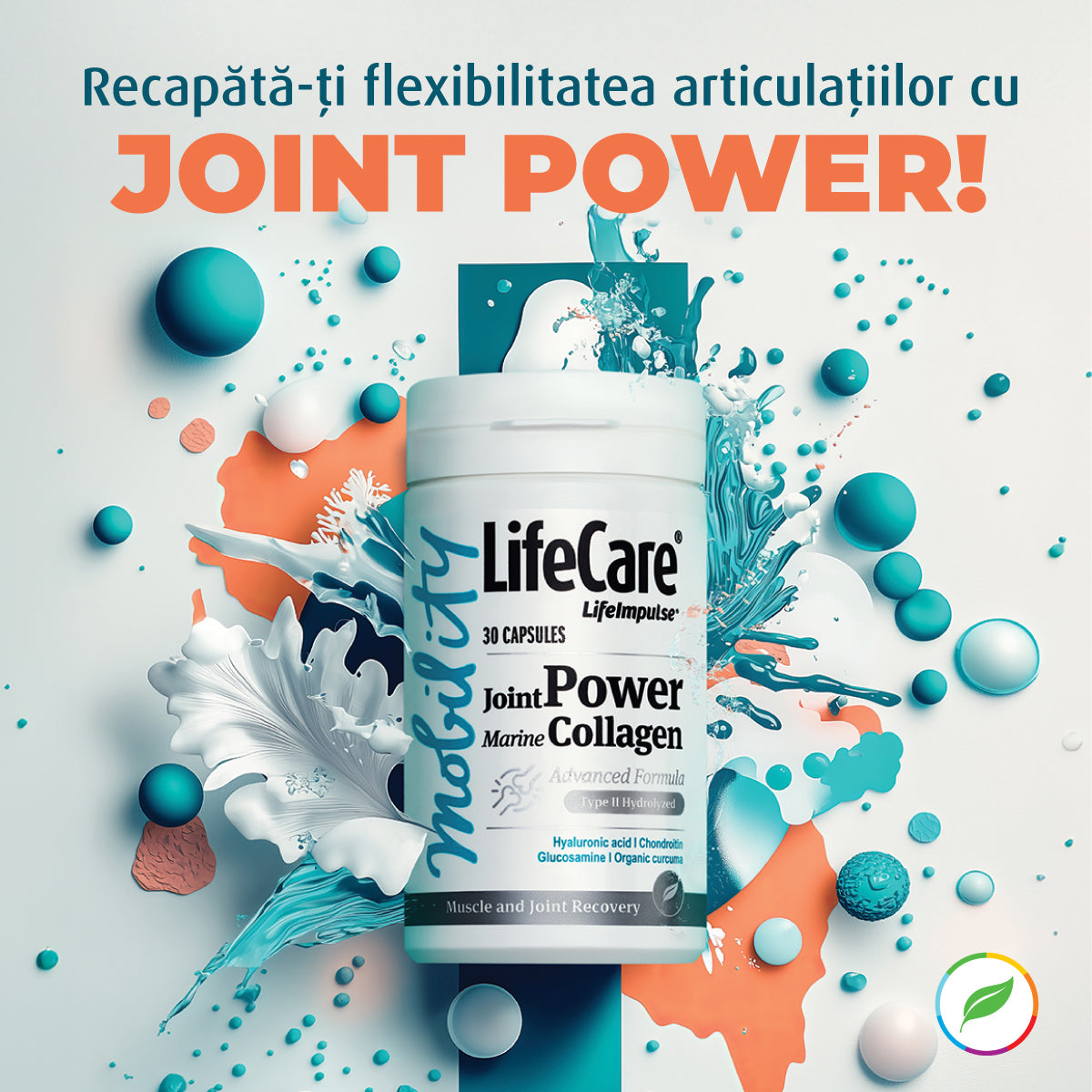 Joint Power, collagène marin hydrolysé de type II