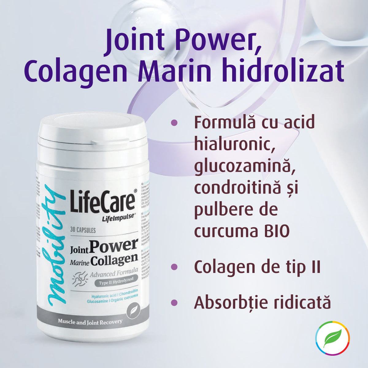 Joint Power, collagène marin hydrolysé de type II