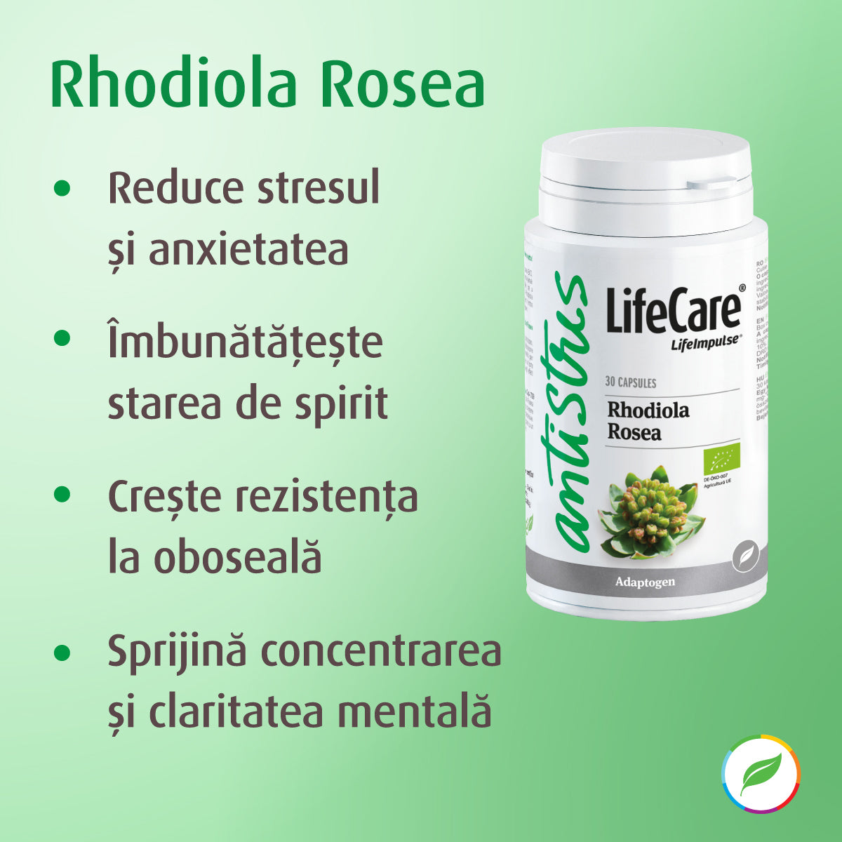 Rhodiola rosea für emotionales Gleichgewicht