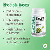 Rhodiola rosea für emotionales Gleichgewicht