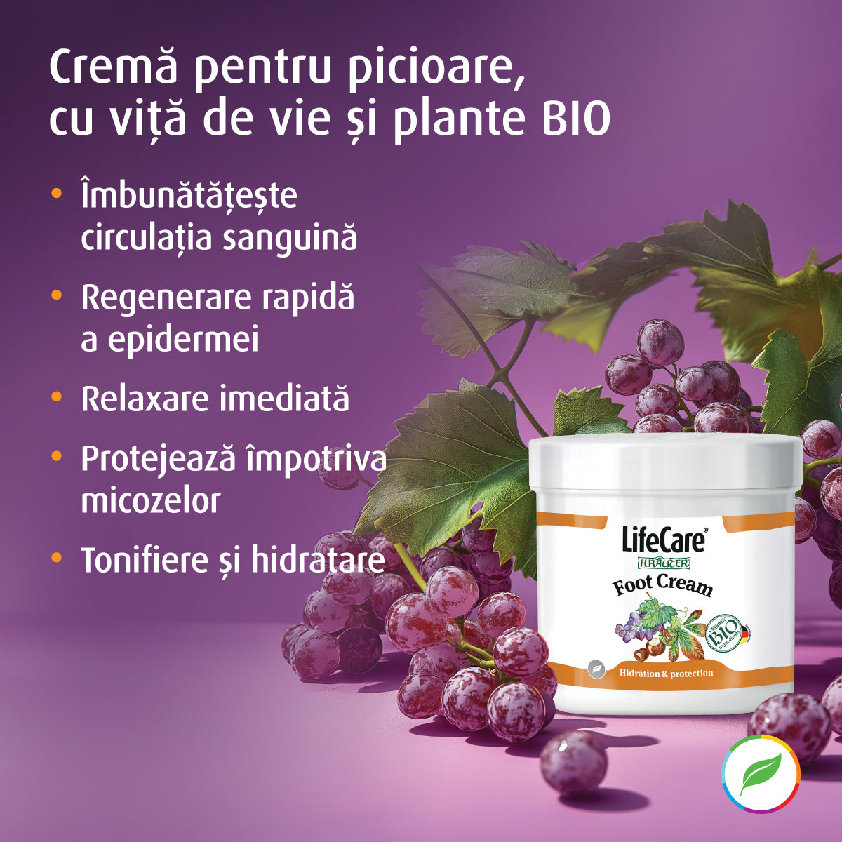 Crème pour les pieds à la vigne et aux herbes biologiques