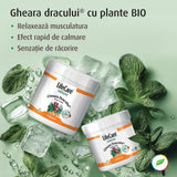 Gel răcoritor, Gheara Dracului, cu plante BIO - 250 ml