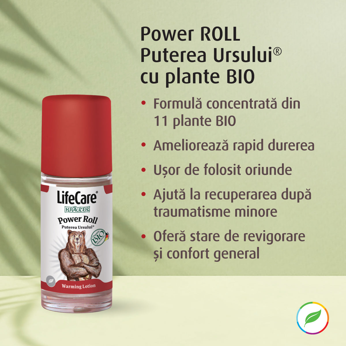 Power ROLL de Bear Power aux herbes biologiques