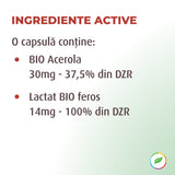 Fervit, with bio acerola, based on bio feros lactate