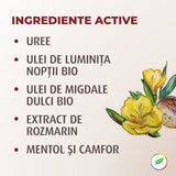 Crème pour les pieds à l'urée et aux herbes biologiques