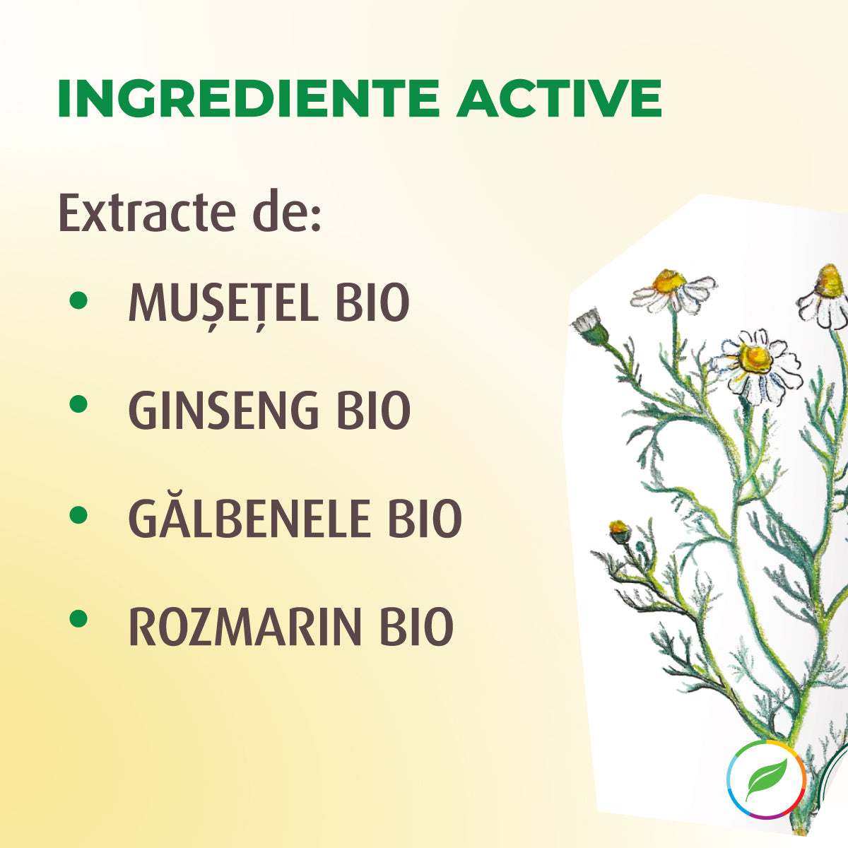 Shampoo for volume, with bio chamomile