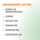 Energy ROLL Griffe du diable aux herbes biologiques