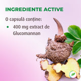 Extrait de glucomannane, contrôle naturel du poids