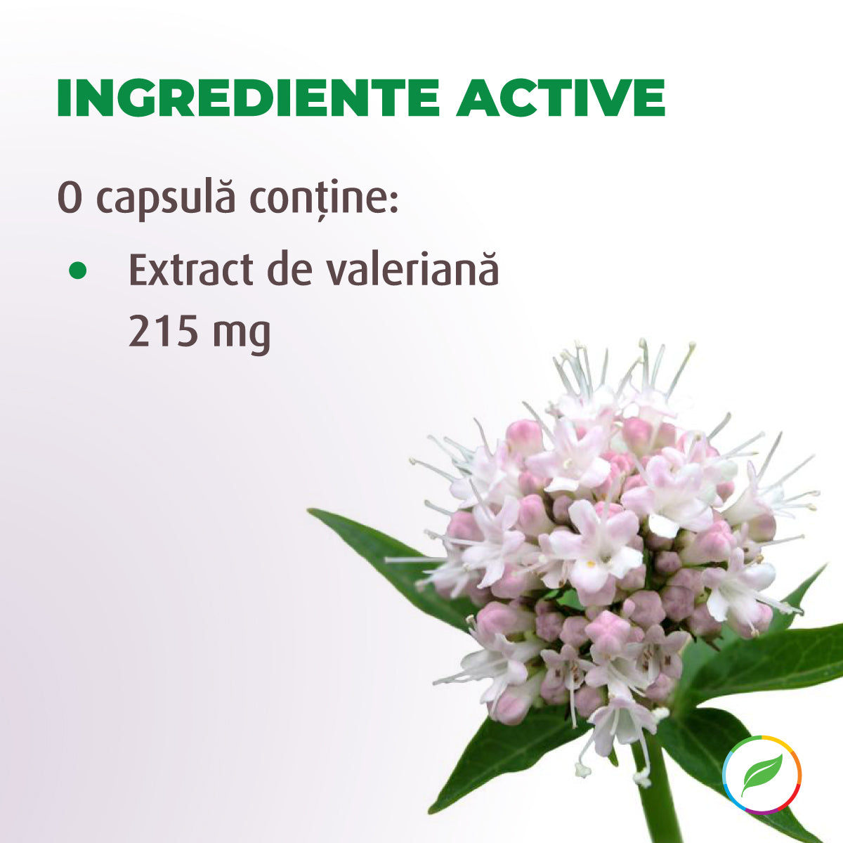 Valerian extract, relaxing effect
