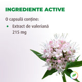 Valerian extract, relaxing effect