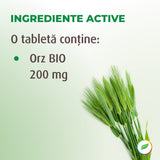 Barley Grass, cu orz BIO, pentru reducerea colesterolului