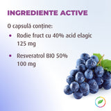 Resveratrol Plus, protection contre le vieillissement