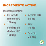 Renalo Complex, with bio pumpkin seeds