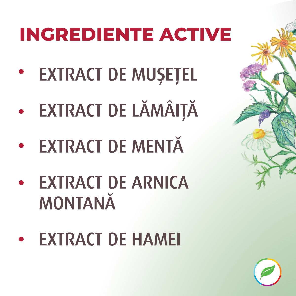 Antimetrean shampoo with bio herbal extract