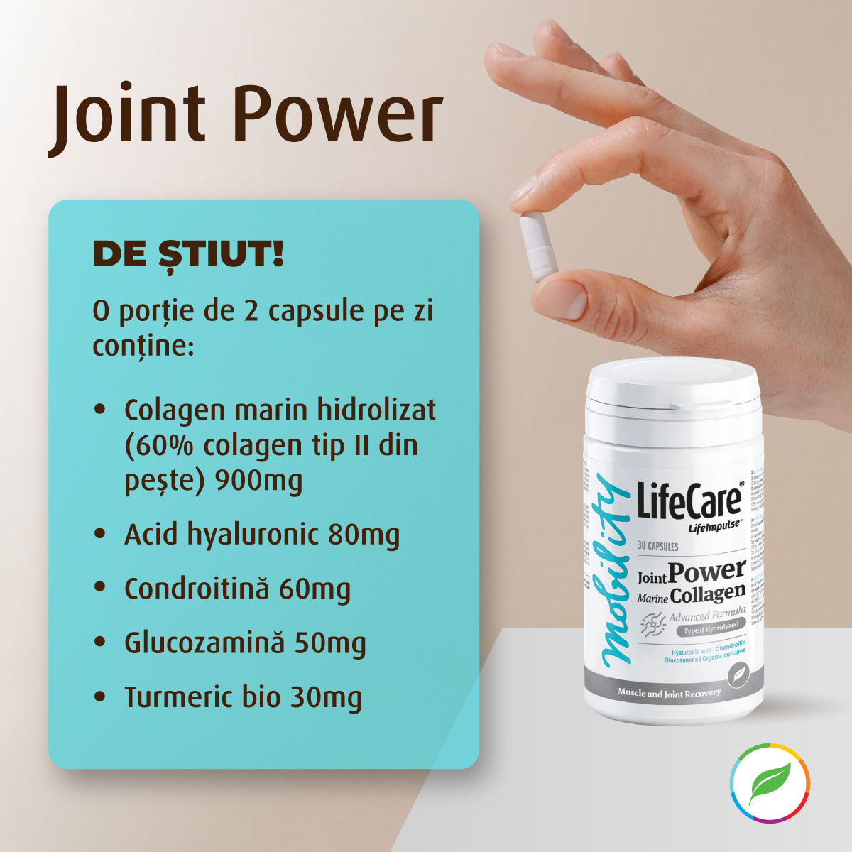 Joint Power, collagène marin hydrolysé de type II