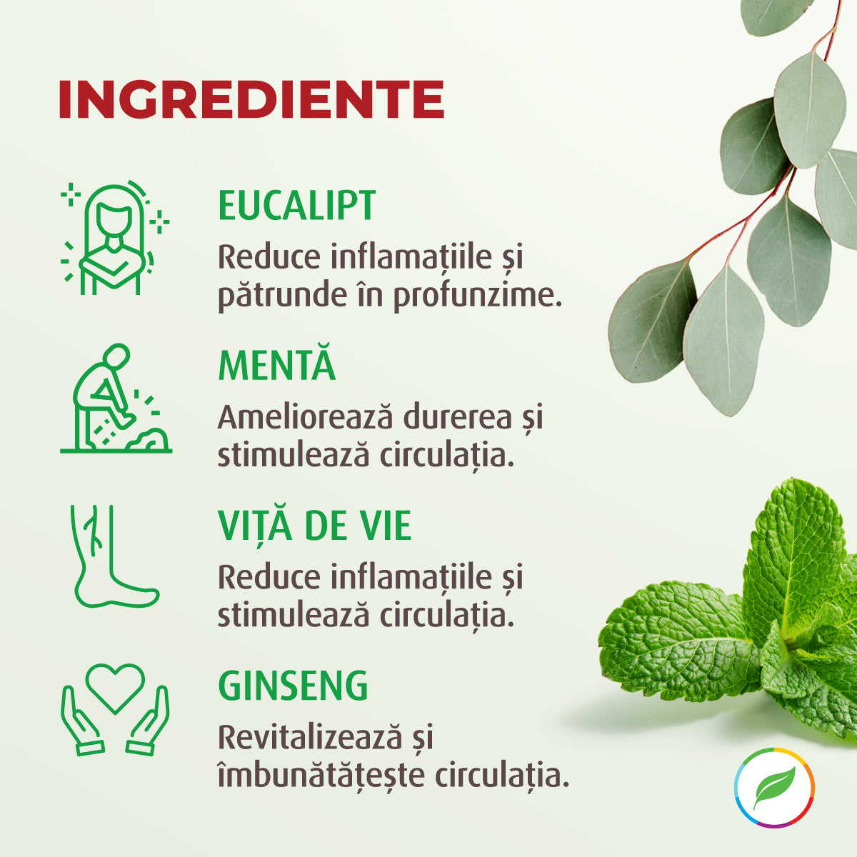 Power ROLL de Bear Power aux herbes biologiques