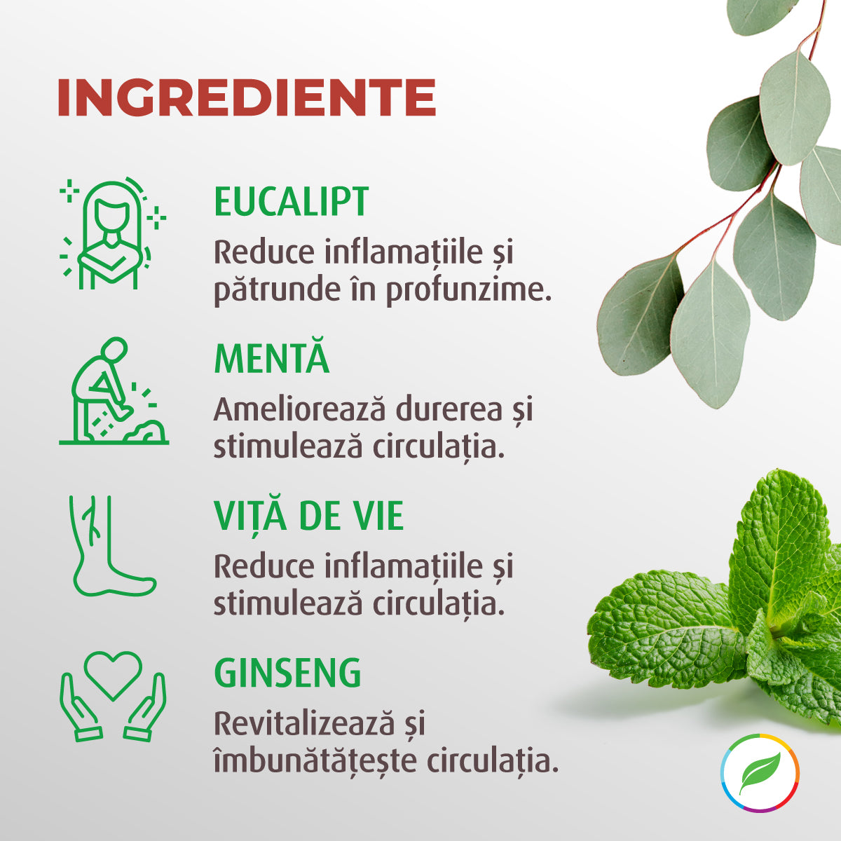 Gel încălzitor, Puterea Ursului, cu plante BIO - 500 ml