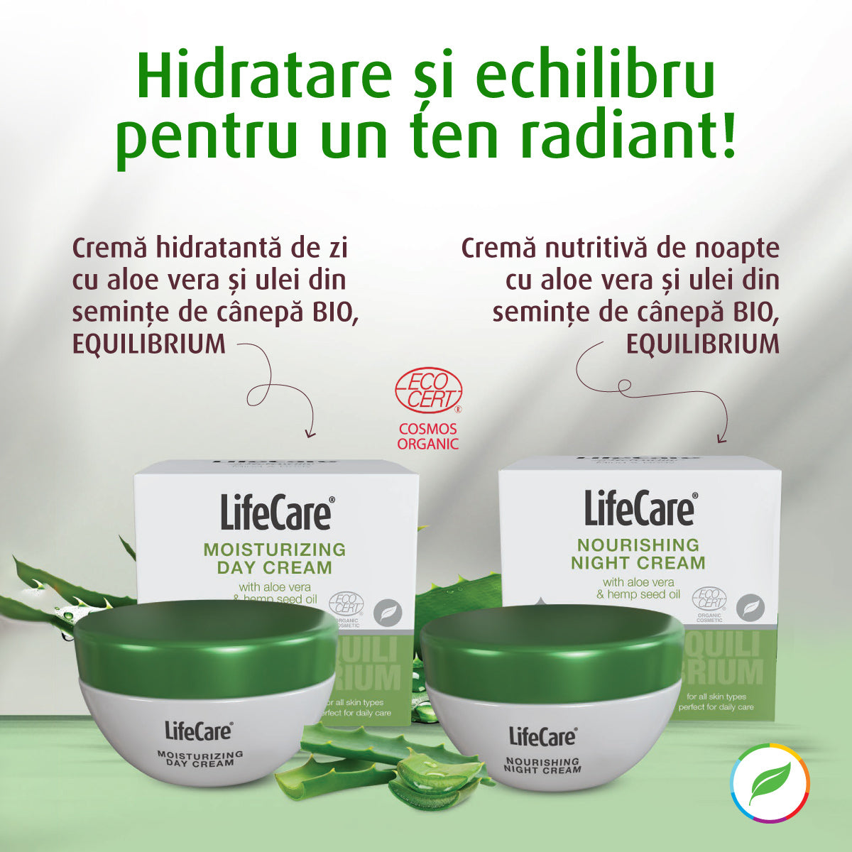 Crème de nuit nourrissante à l'aloe vera et à l'huile de graines de chanvre biologique, EQUILIBRIUM