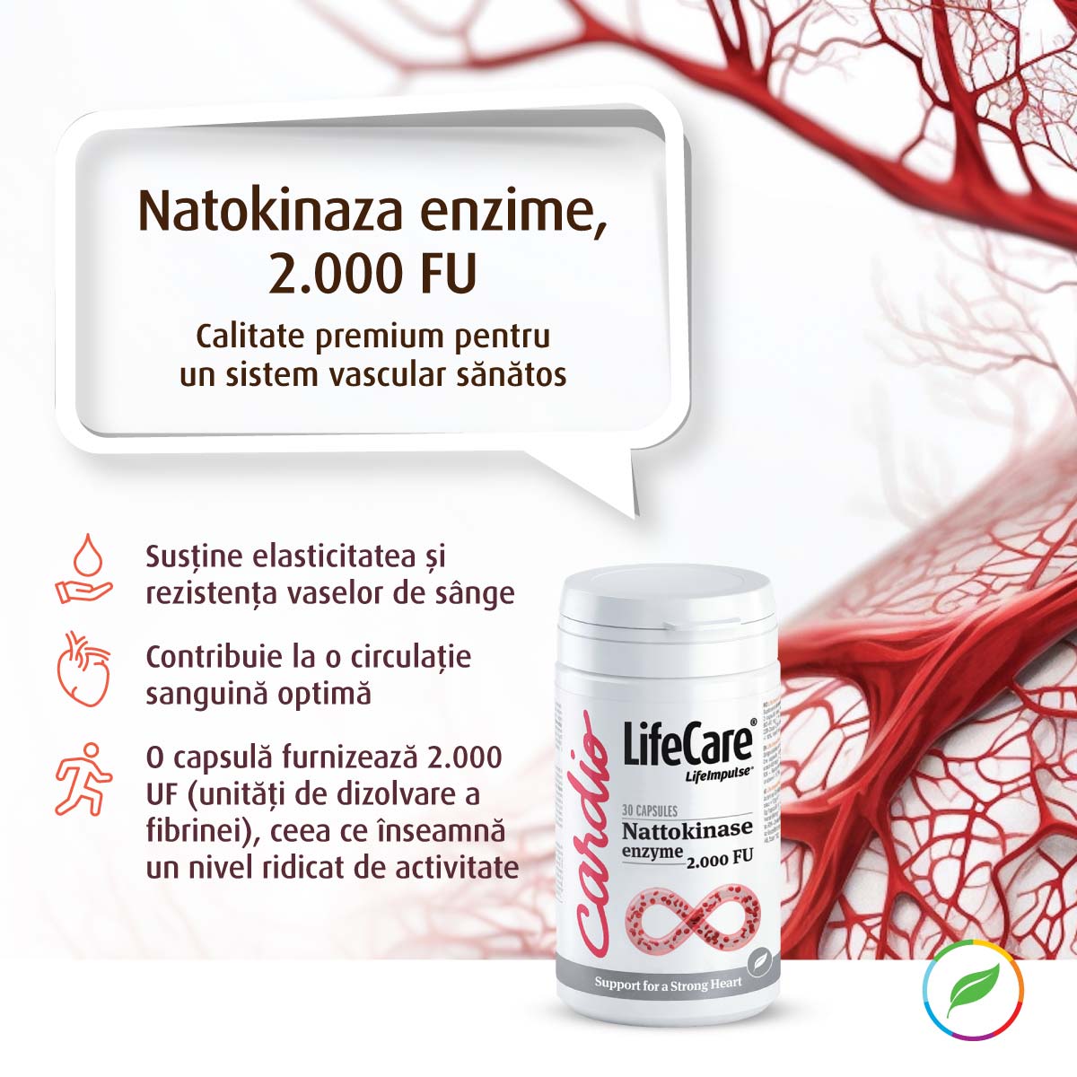 Enzyme Natokinase, 2.000 FU, soutien de la circulation